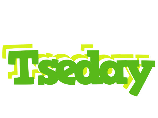 Tseday picnic logo