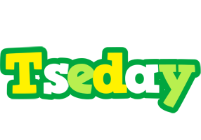 Tseday soccer logo