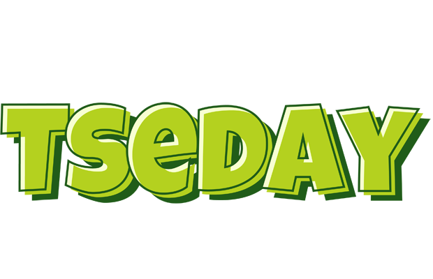 Tseday summer logo