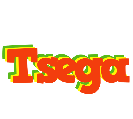 Tsega bbq logo