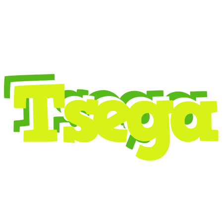 Tsega citrus logo