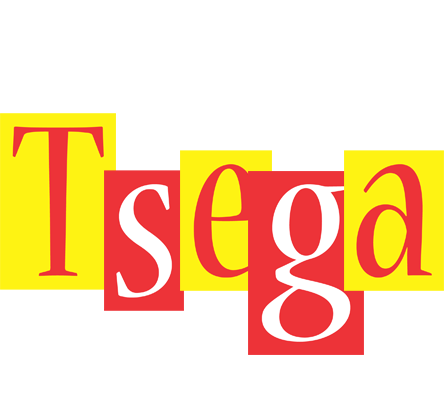Tsega errors logo