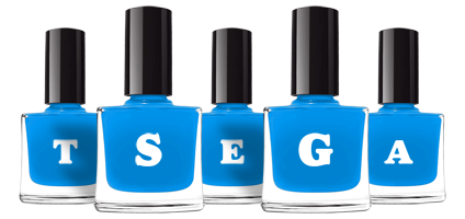 Tsega glossy logo
