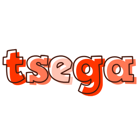 Tsega paint logo
