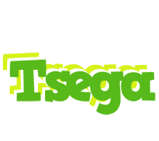 Tsega picnic logo