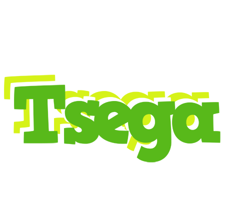 Tsega picnic logo