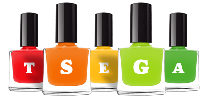 Tsega saloon logo