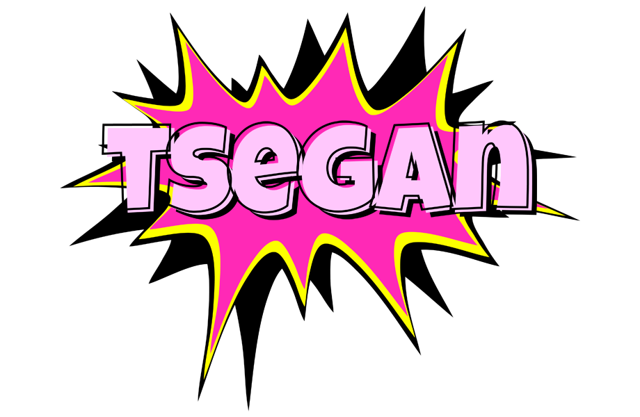 Tsegan badabing logo