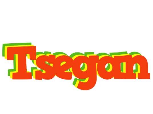 Tsegan bbq logo