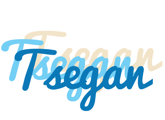Tsegan breeze logo