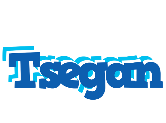 Tsegan business logo