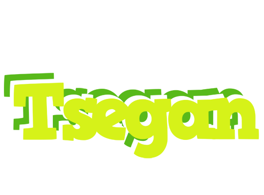 Tsegan citrus logo