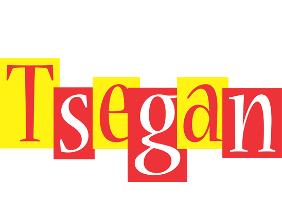 Tsegan errors logo