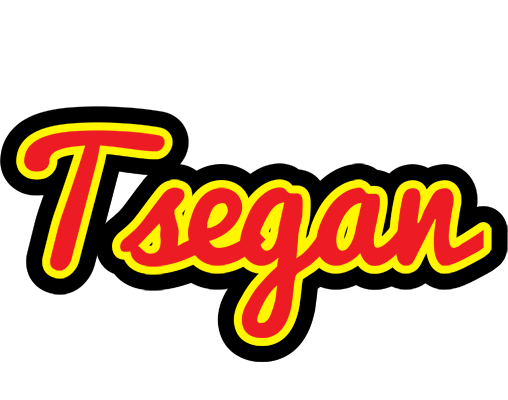 Tsegan fireman logo