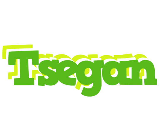 Tsegan picnic logo
