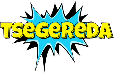 Tsegereda amazing logo