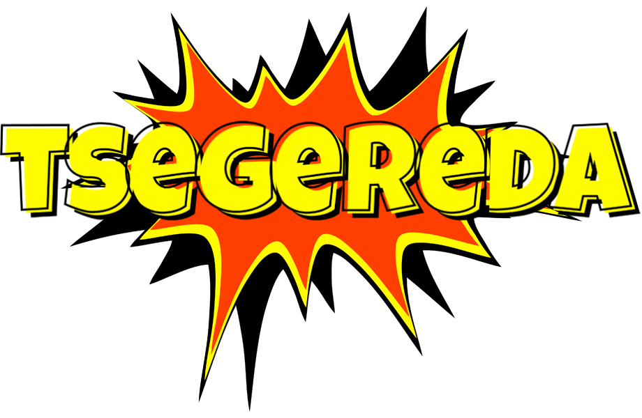 Tsegereda bazinga logo