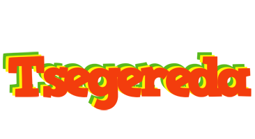 Tsegereda bbq logo