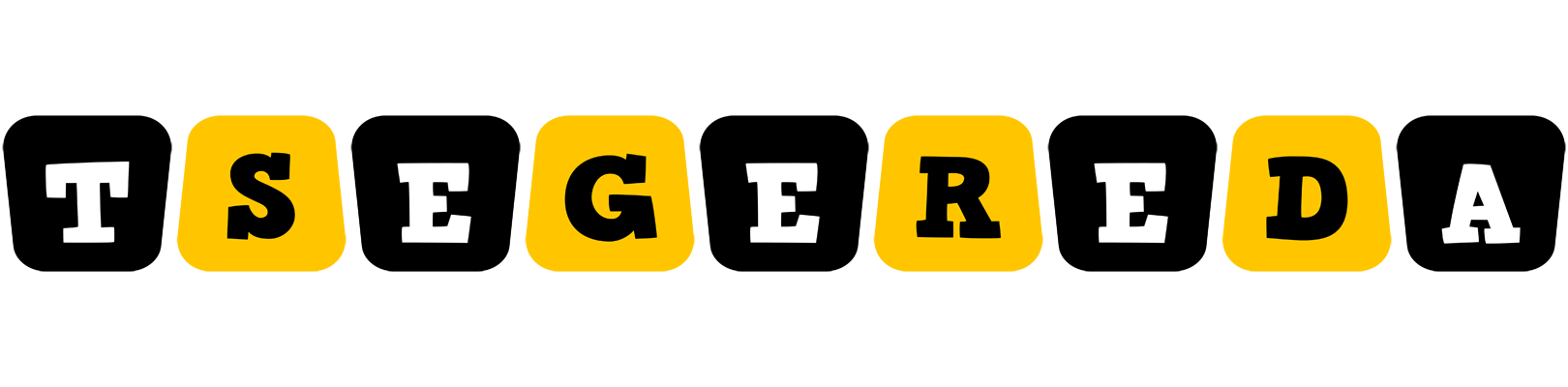 Tsegereda boots logo