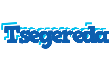 Tsegereda business logo