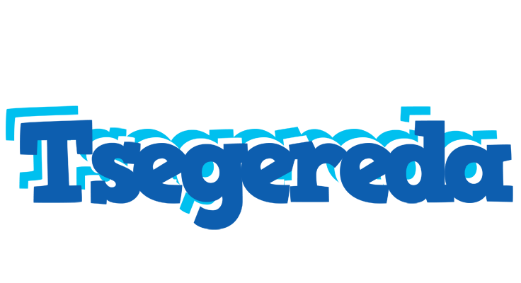 Tsegereda business logo