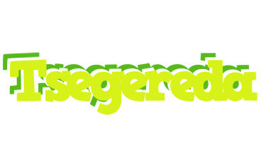 Tsegereda citrus logo