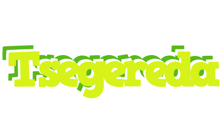 Tsegereda citrus logo