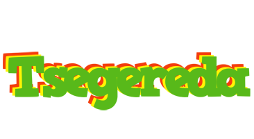 Tsegereda crocodile logo