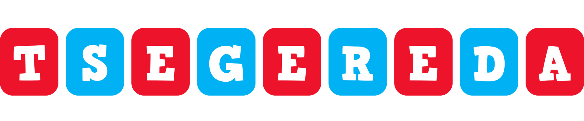 Tsegereda diesel logo