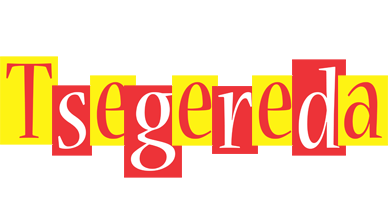 Tsegereda errors logo