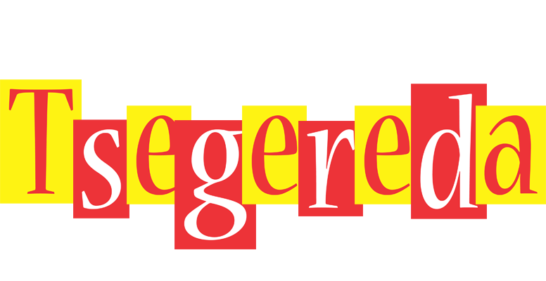 Tsegereda errors logo