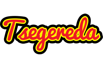 Tsegereda fireman logo