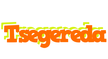 Tsegereda healthy logo