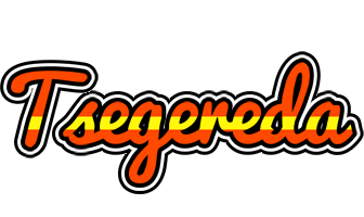 Tsegereda madrid logo