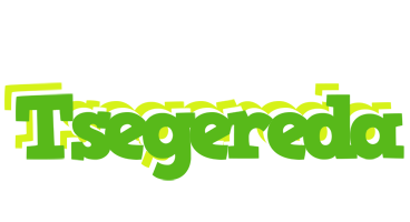 Tsegereda picnic logo