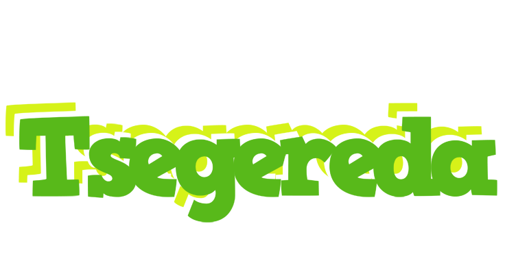 Tsegereda picnic logo