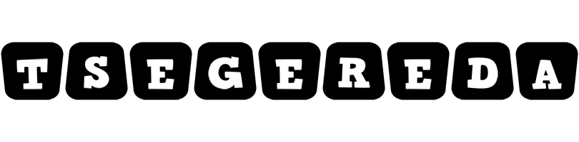 Tsegereda racing logo