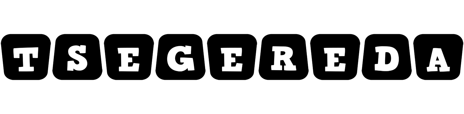 Tsegereda racing logo