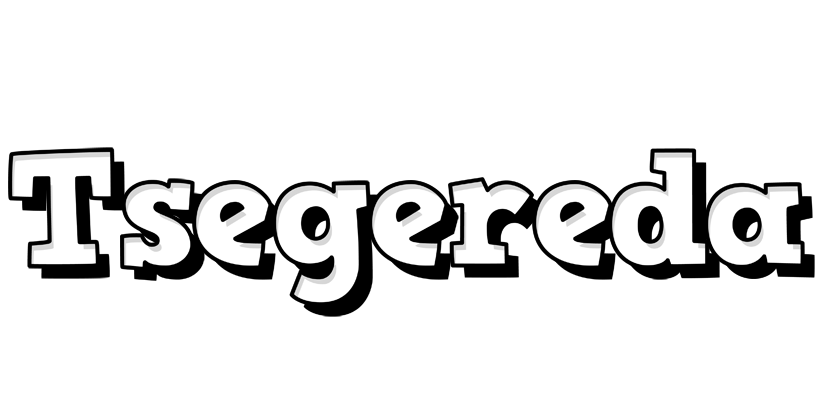 Tsegereda snowing logo