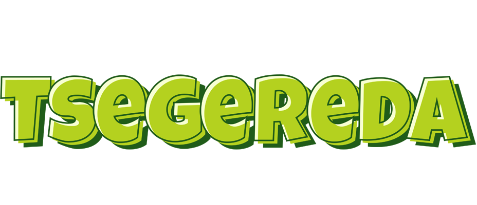Tsegereda summer logo