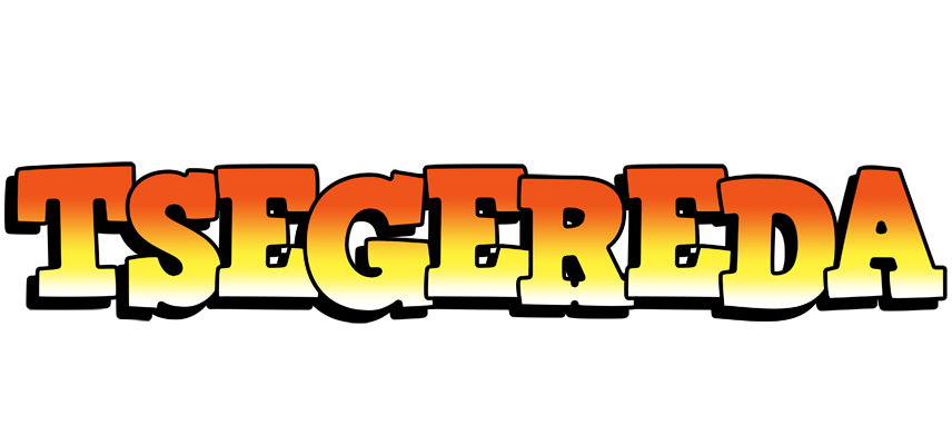 Tsegereda sunset logo