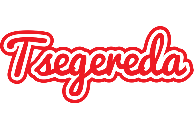 Tsegereda sunshine logo