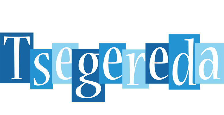 Tsegereda winter logo