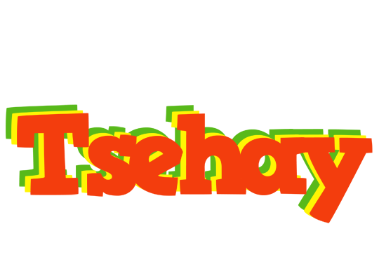 Tsehay bbq logo