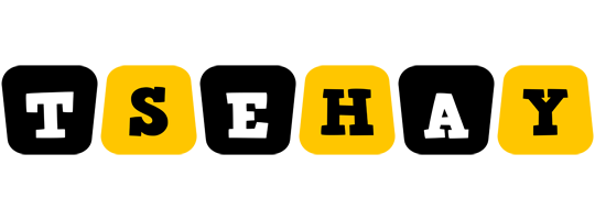 Tsehay boots logo