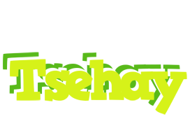 Tsehay citrus logo
