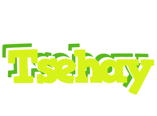 Tsehay citrus logo