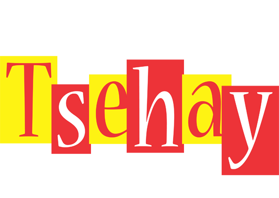 Tsehay errors logo