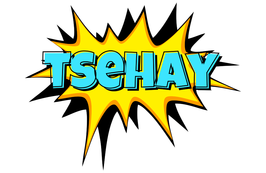 Tsehay indycar logo