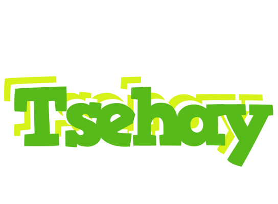 Tsehay picnic logo